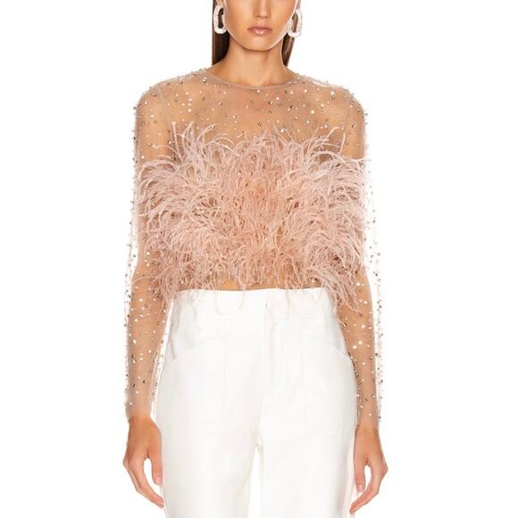 RÊVE RICHE Jasmina Feather Embellished Dusty Rose Sheer Long Sleeve Top Size 42 - Picture 1 of 11